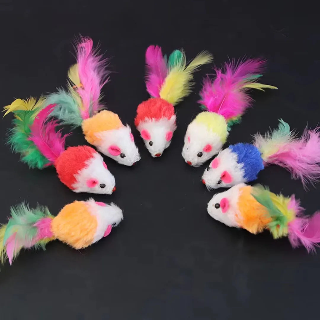 New Pet Cat Toys Interactive Cute Soft - ProPawPet.com