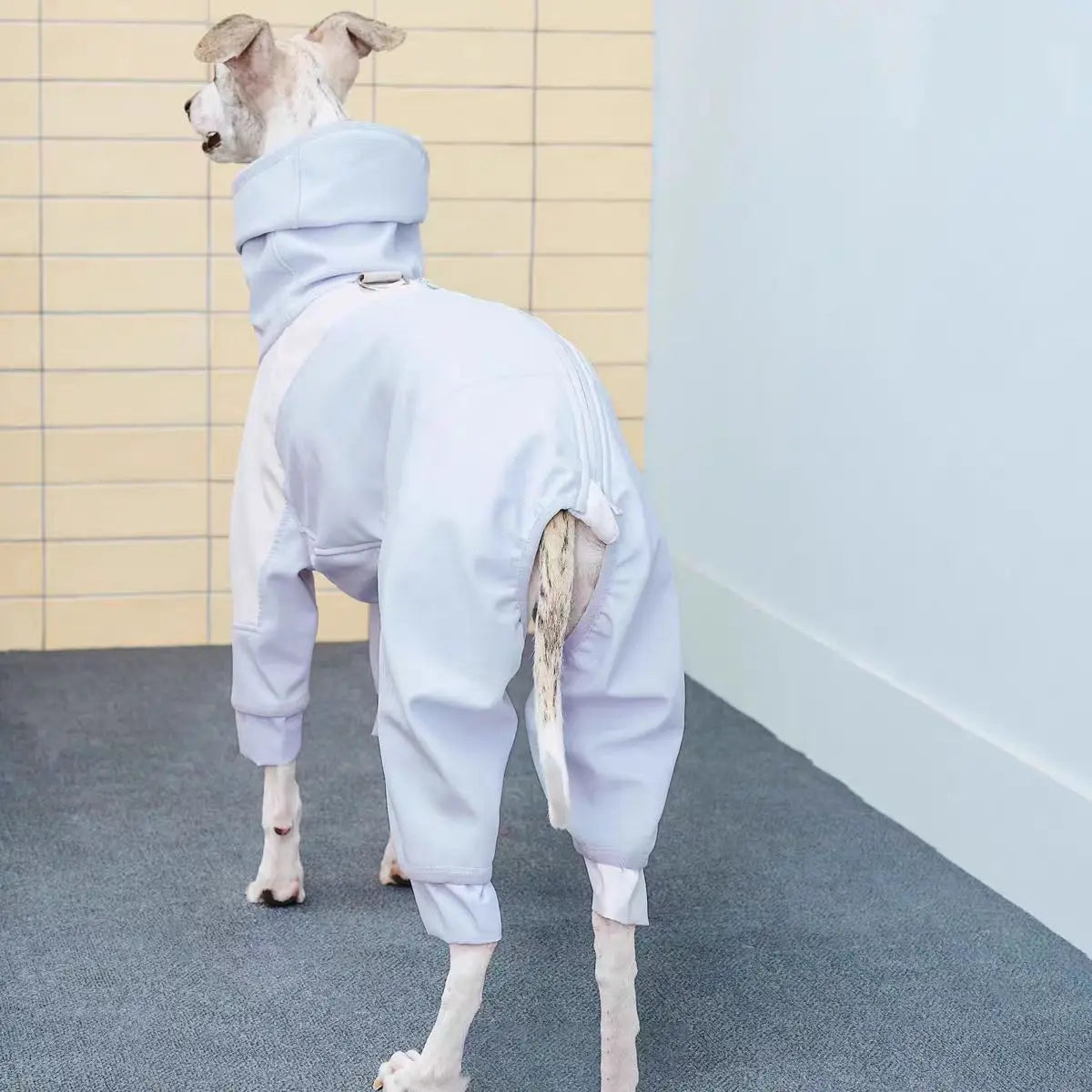 Turtle Neck Warm Dog Jacket,greyhound – photo 6