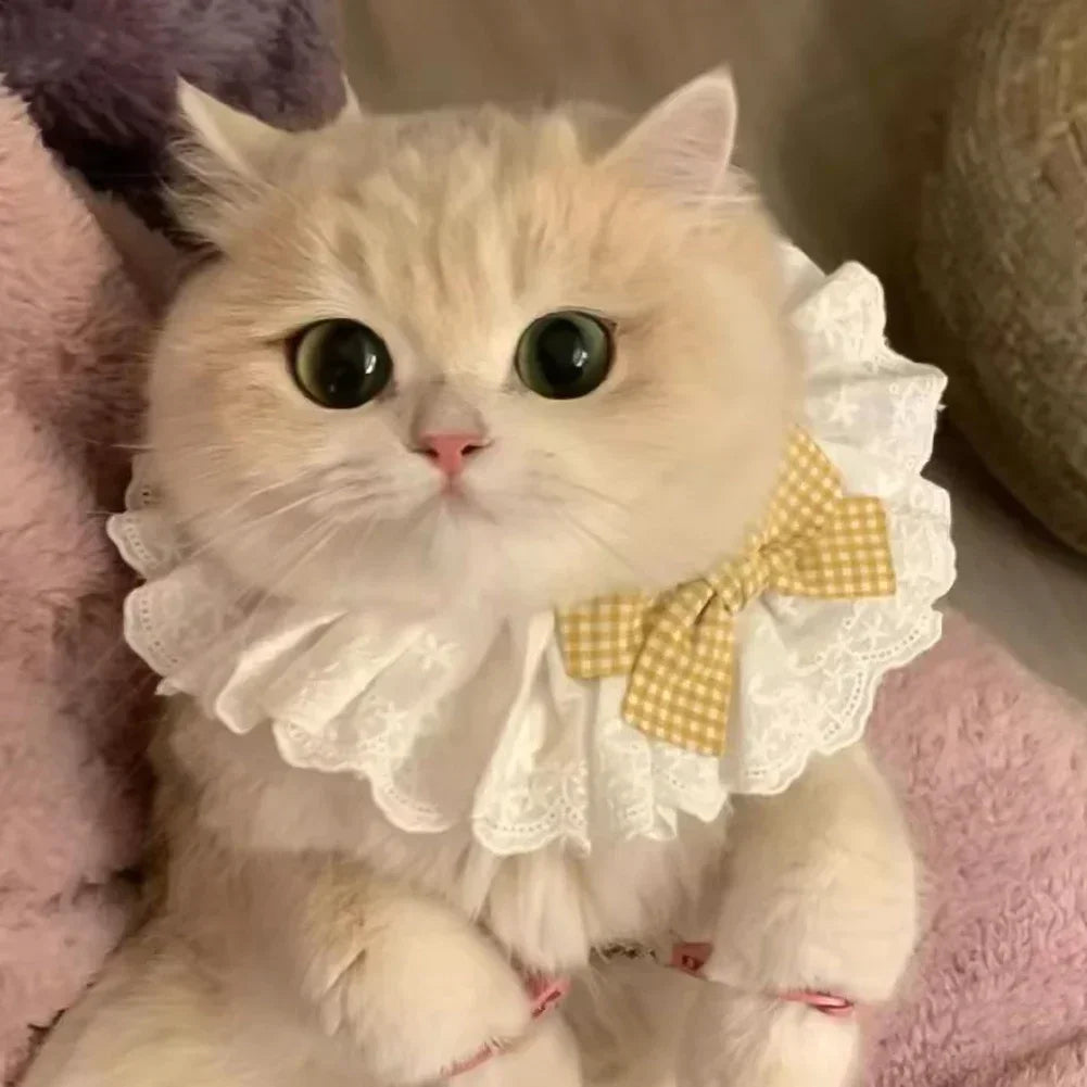 Cute Dog Collar Lace Bowknot Pearl Cat - ProPawPet.com