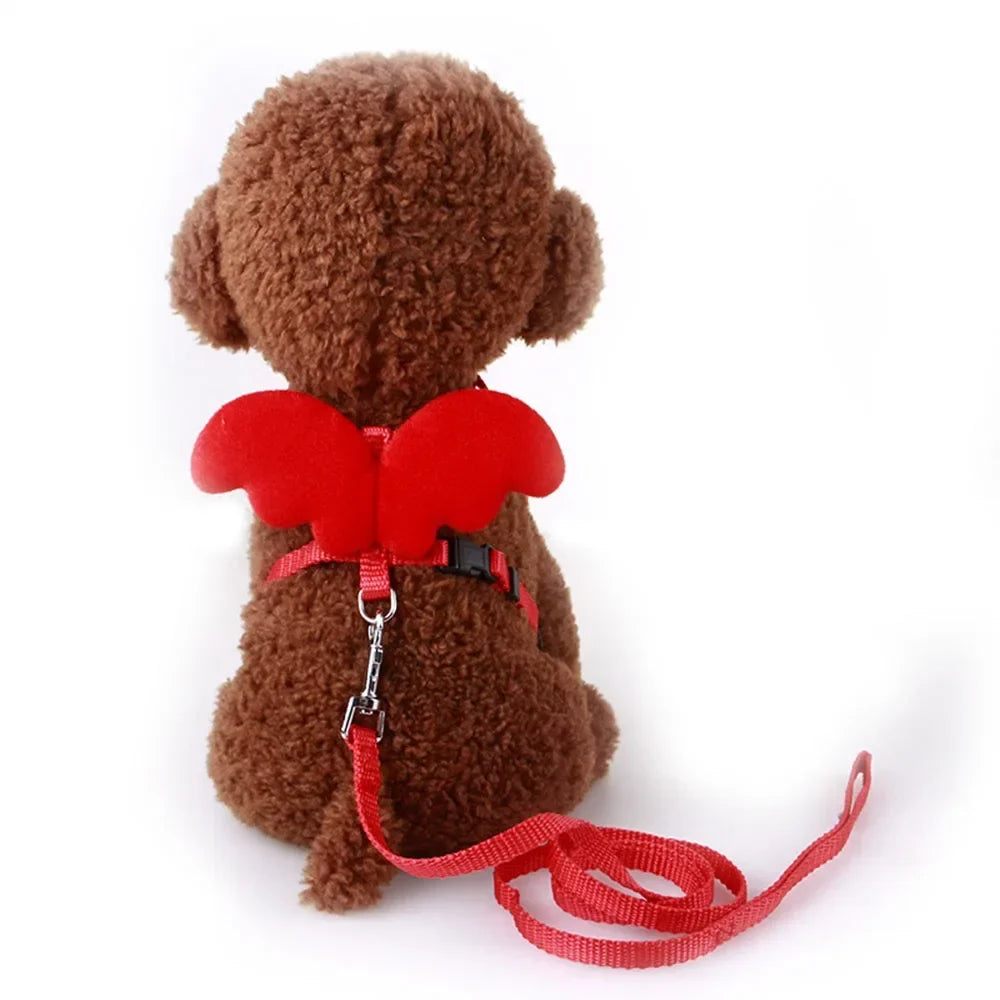 Adjustable Kitten Harness and Leash Set Cute - ProPawPet.com