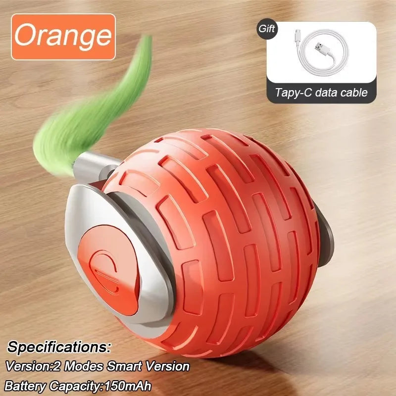 Indoor Interactive Birds Toy for Cat Chasing - ProPawPet.com
