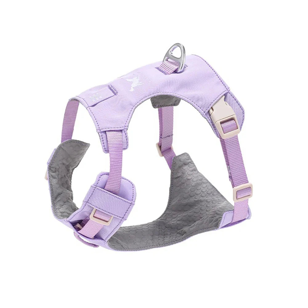 Lightweight Dog Harness & Leash Set - ProPawPet.com