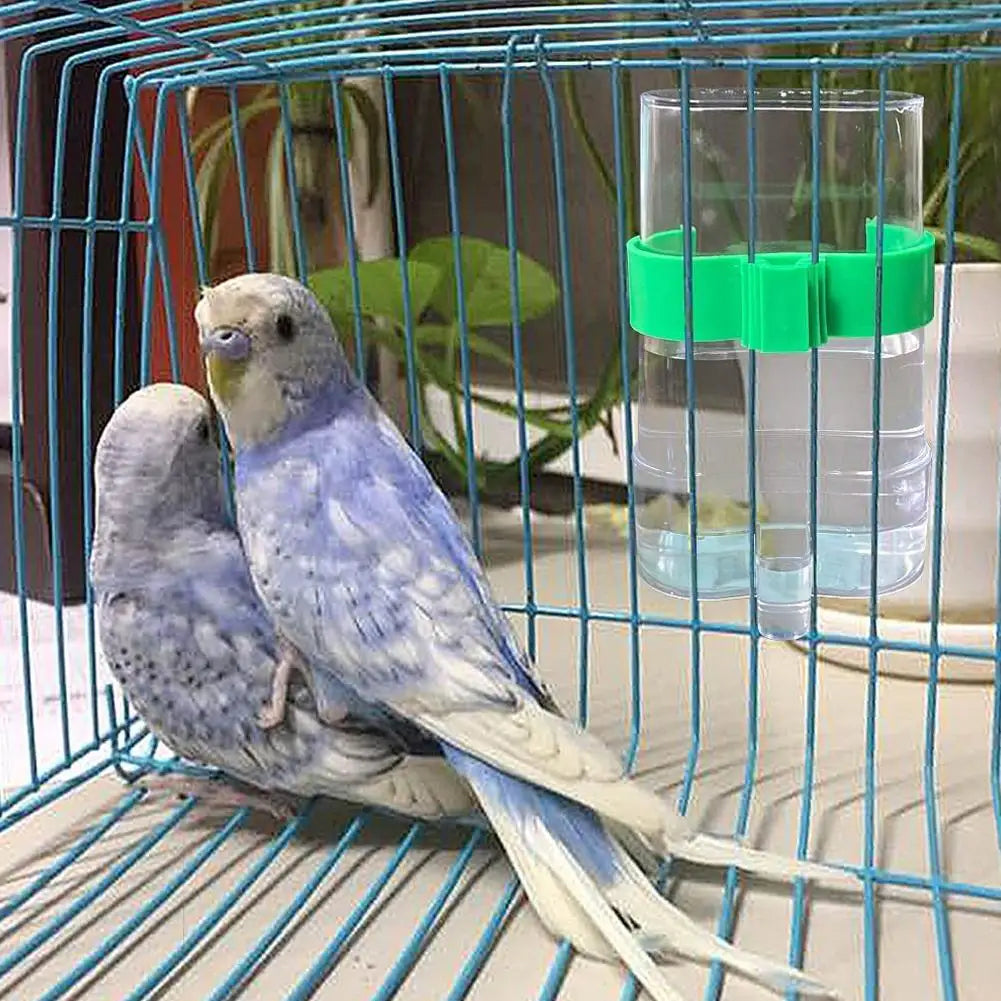 Automatic Bird Water Dispenser Bird Drinking - ProPawPet.com