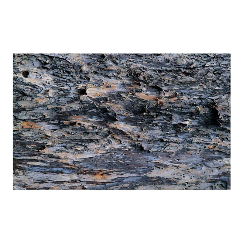 3D Fish Tank Decor Aquarium Background - ProPawPet.com