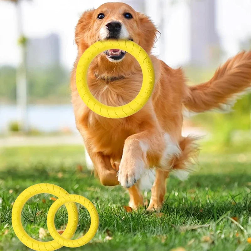 Dog Ring Toys Pet Flying Disk Training Ring - ProPawPet.com