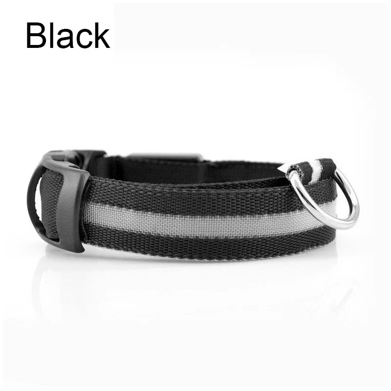 Reflective Nylon LED Pet Dog Collar Safety - ProPawPet.com