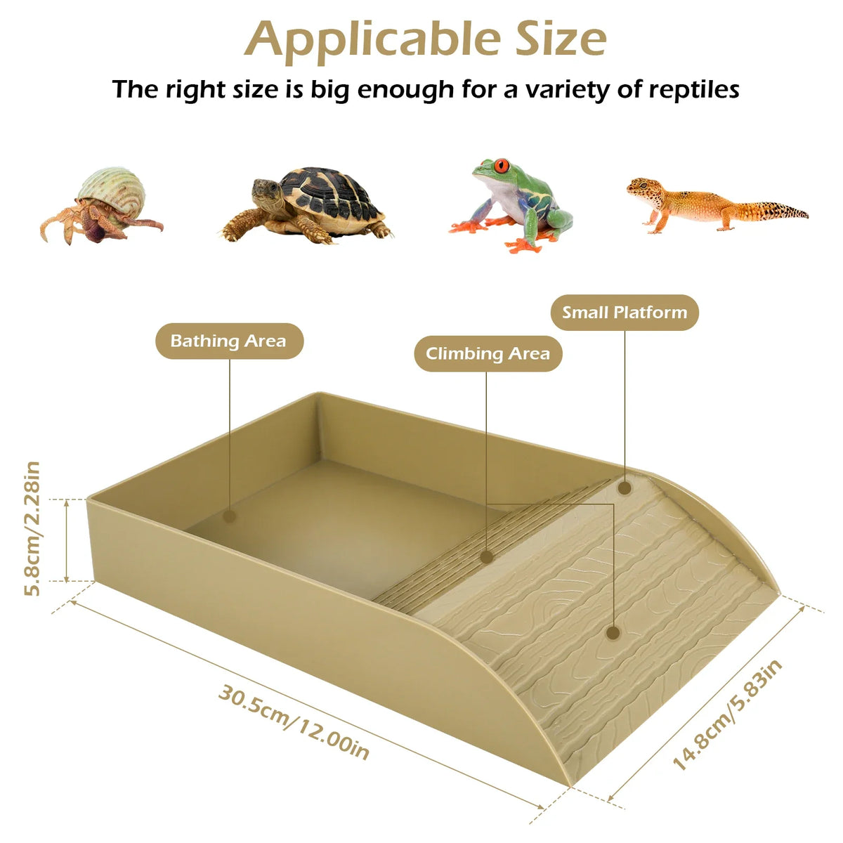 Plastic Tortoise Food Dish Turtle Tank Water Feeder for Reptiles