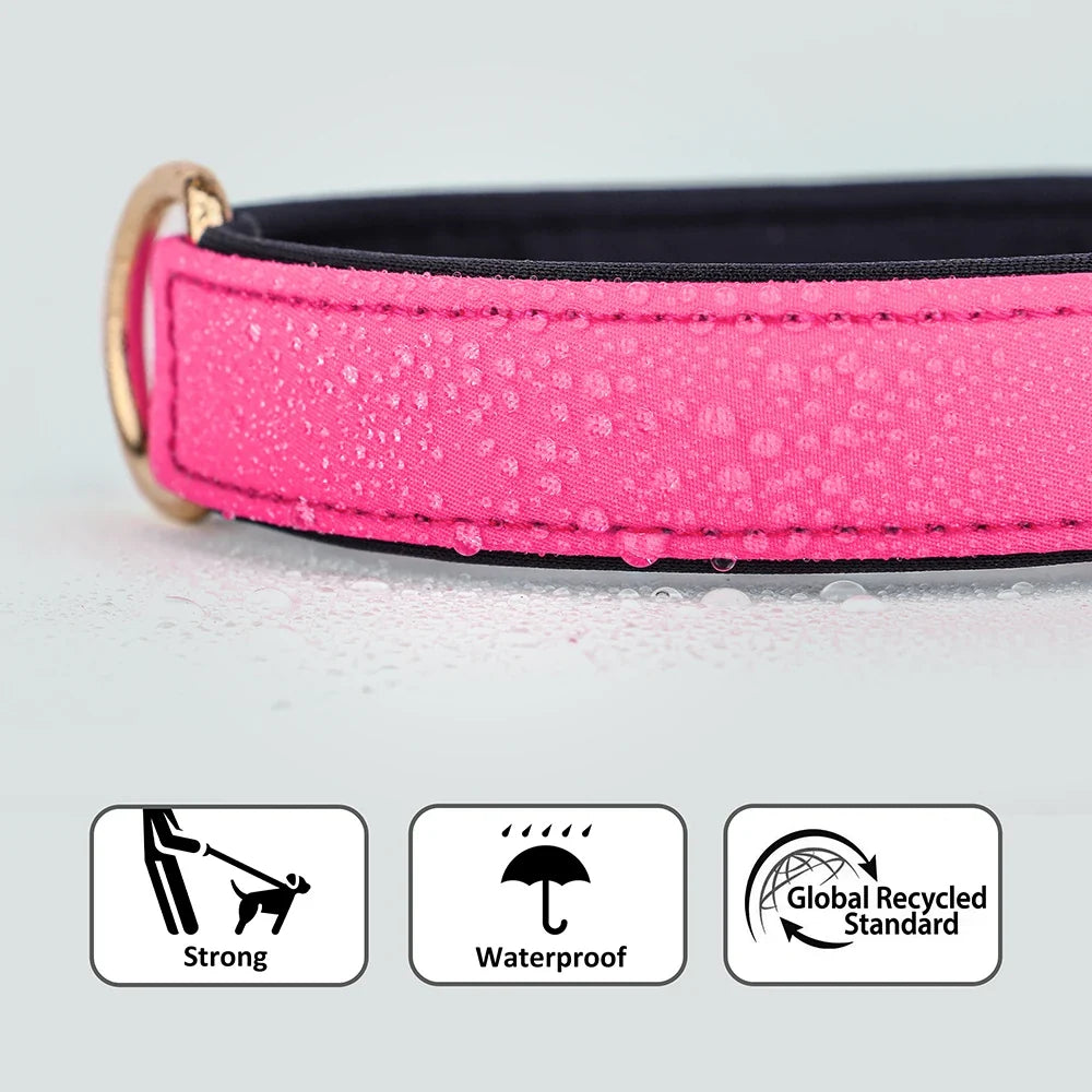8 Colors Dog Collar Waterproof Nylon Dog - ProPawPet.com