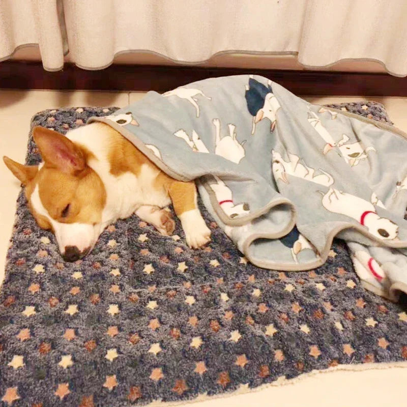Winter Washable Dog Bed Thickened Dog Mat - ProPawPet.com