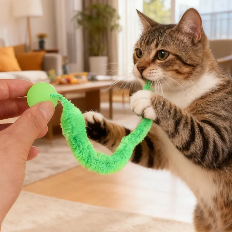 Cat Interactive Toys Cat Twisted Worm - ProPawPet.com