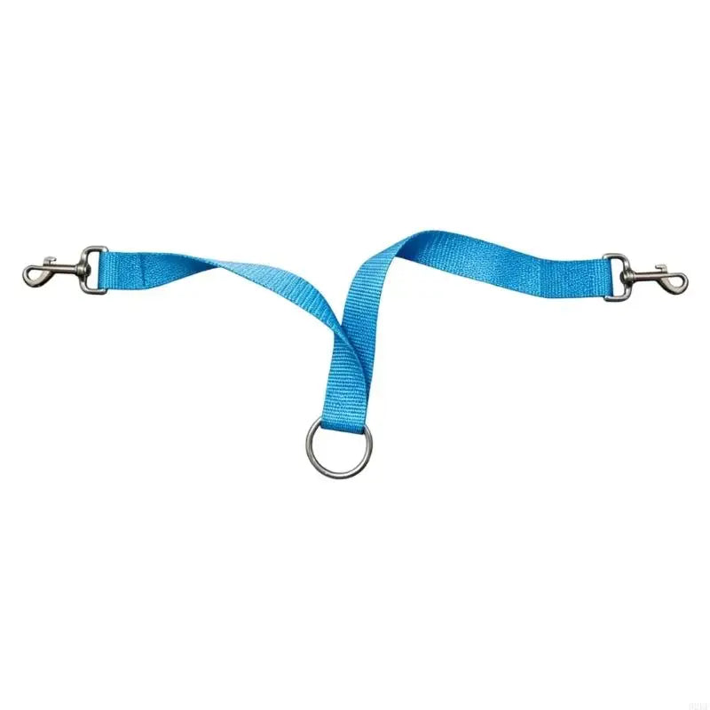 Horse Training Strap for Barn Handling Use, - ProPawPet.com