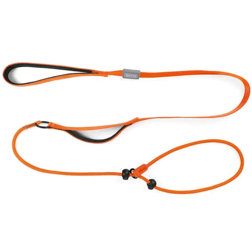 Nylon Slip Lead Dog Slip Leash and Collar - ProPawPet.com