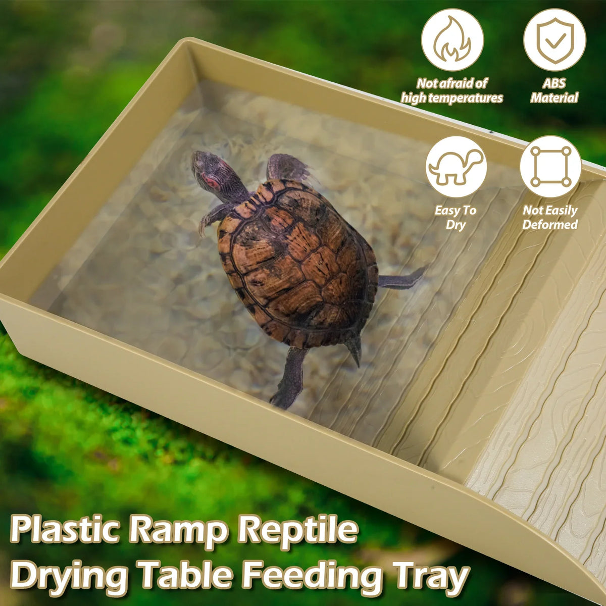 Plastic Tortoise Food Dish turtle tank Water - ProPawPet.com