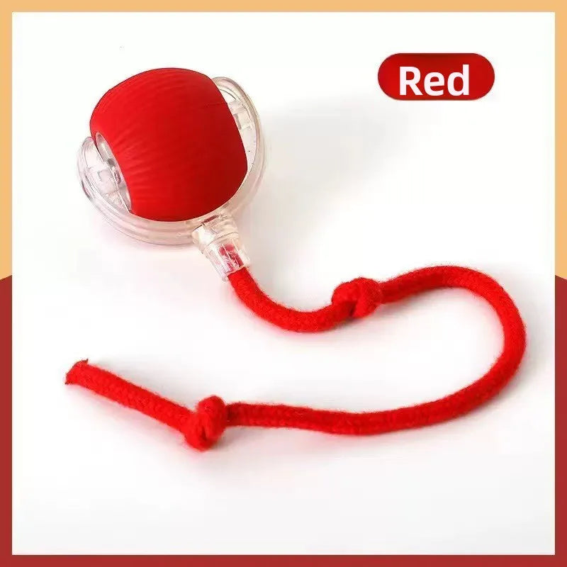 Silicone USB Rechargeable Smart Cat Plaything Ball – Balls, Ropes & Fetch Toys