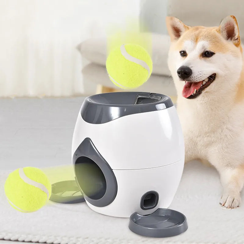 2 in 1 Dog Pet Interactive Toy Tennis Ball - ProPawPet.com