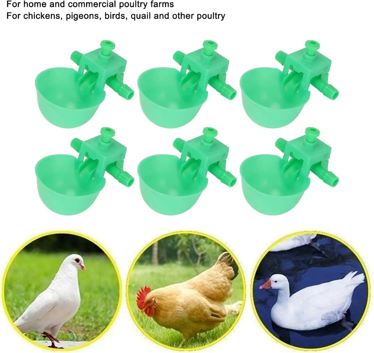 5- Green Chicken Waterer Automatic Drinking Dish