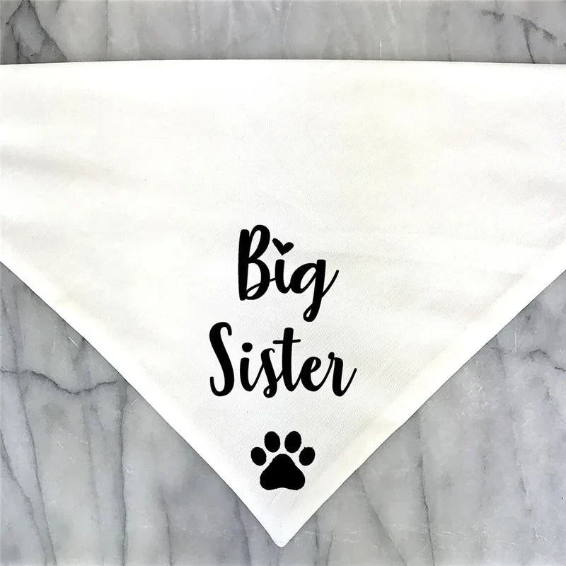 Big Brother Big Sister Dog Bandana Scarf For - ProPawPet.com