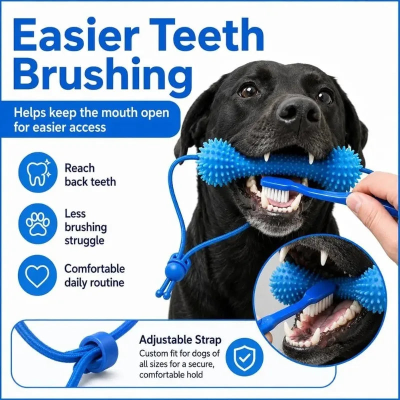 Dual-Action Canine Dental Prop Dog Dental - ProPawPet.com