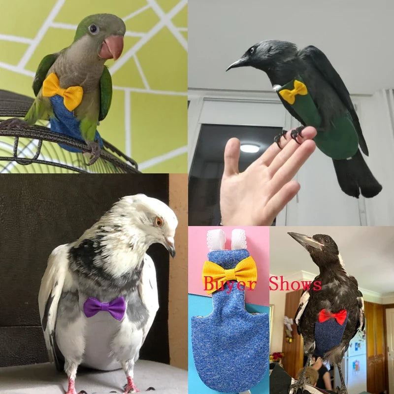 Parrot Pigeon Diaper Flight Suit Bird Nappy - ProPawPet.com