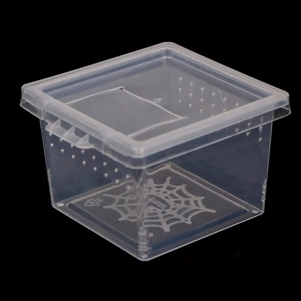 Practical Plastic Reptile Accessories Household Transparent – 3 Colors
