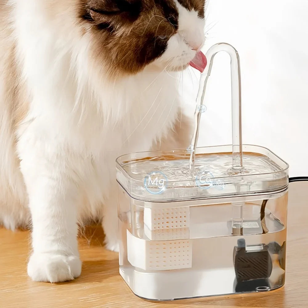 Transparent Cat Drinking Fountain Automatic - ProPawPet.com