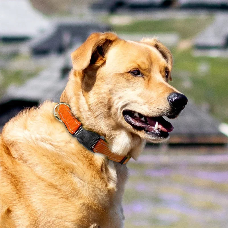 Reflective Pet Collar Adjustable Nylon - ProPawPet.com