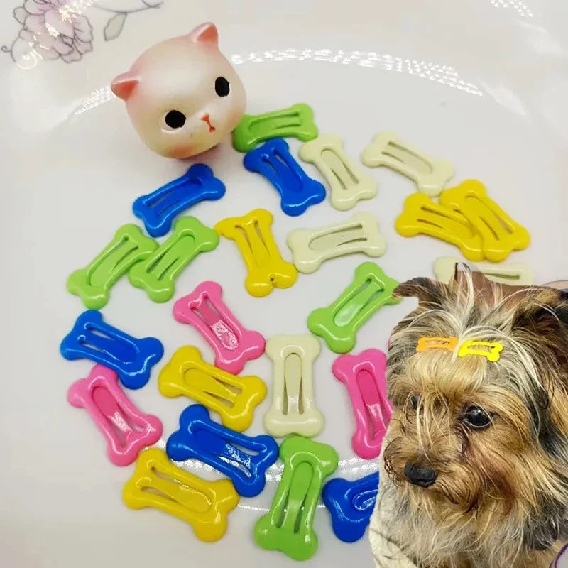 Pcs/set Bone Shape Pet Dog BB Clips Cute Dog - ProPawPet.com