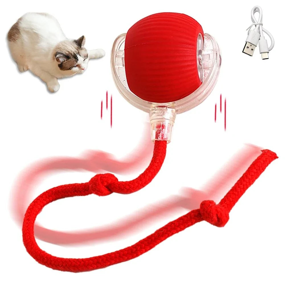Rechargeable 1 Interactive Cat Toys Ball – Cat Supplies