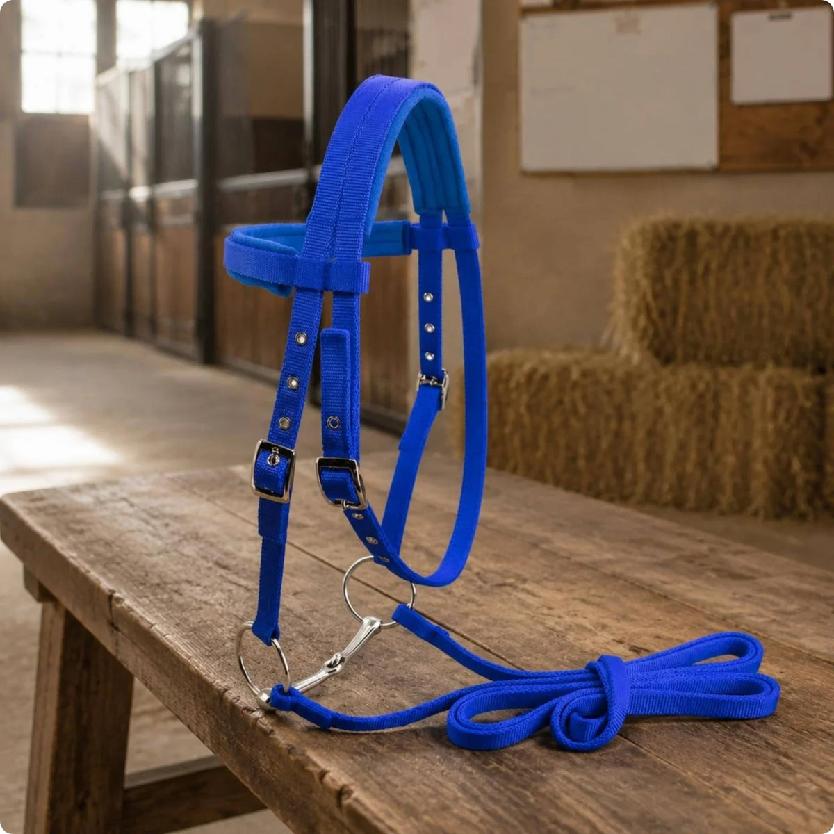 Horse Bridle with Bit Padded Adjustable – 9 Colors