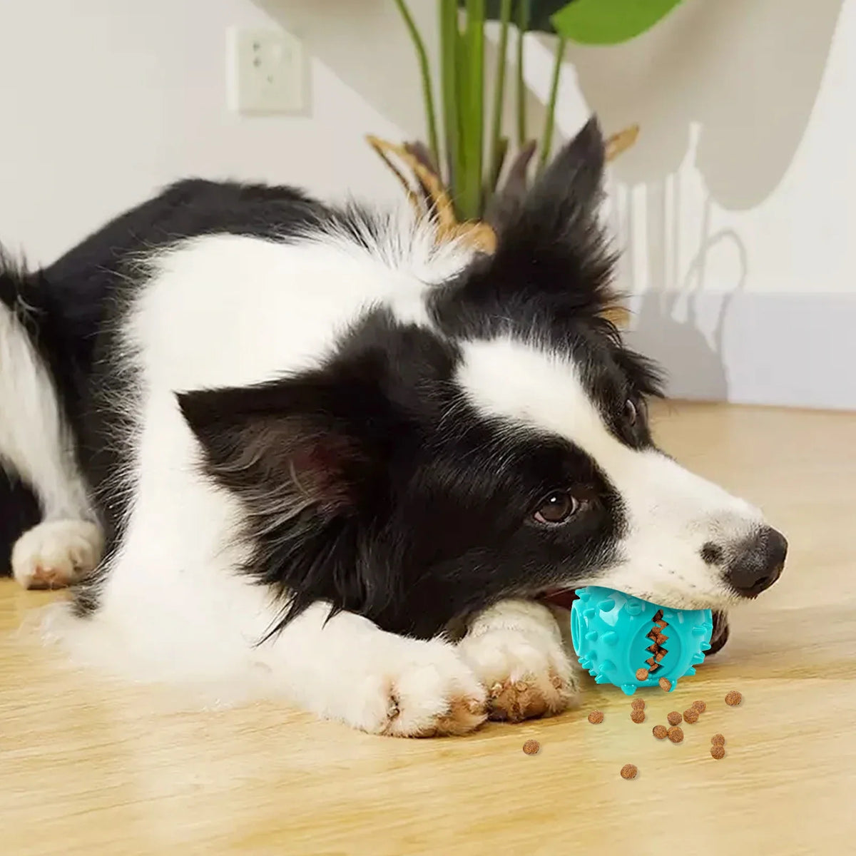 Dog Grinding Teeth Toys Chew Toys Cleaning - ProPawPet.com