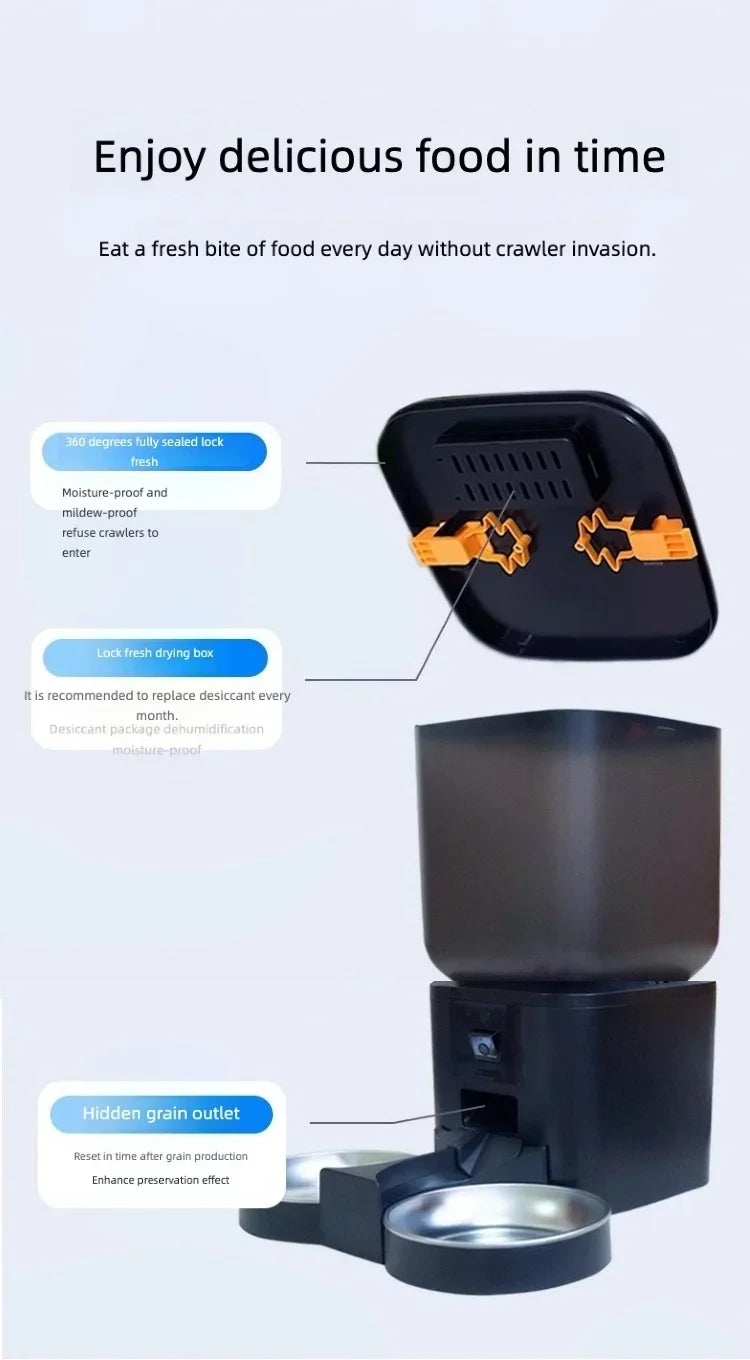 CANBOUN Direct Sale Smart Automatic Cat And - ProPawPet.com