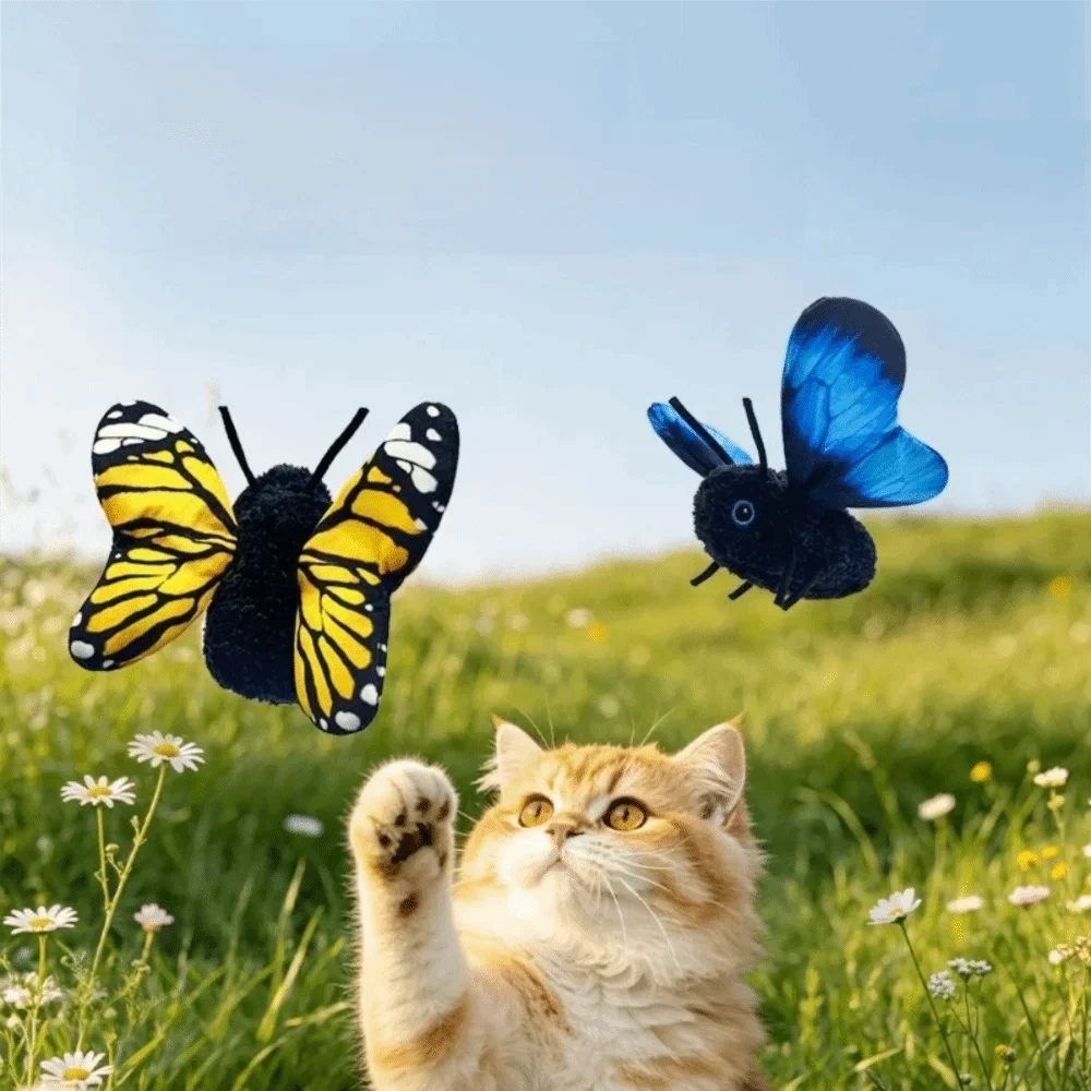 Rechargeable Automatic Cat Teaser Toy - ProPawPet.com