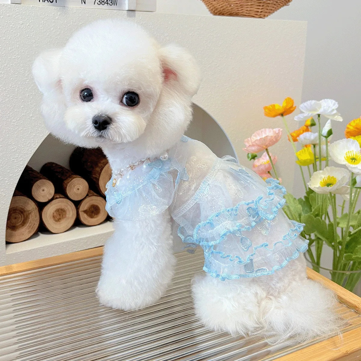 Mesh Pet Clothes Summer Puppy Sweet Princess - ProPawPet.com
