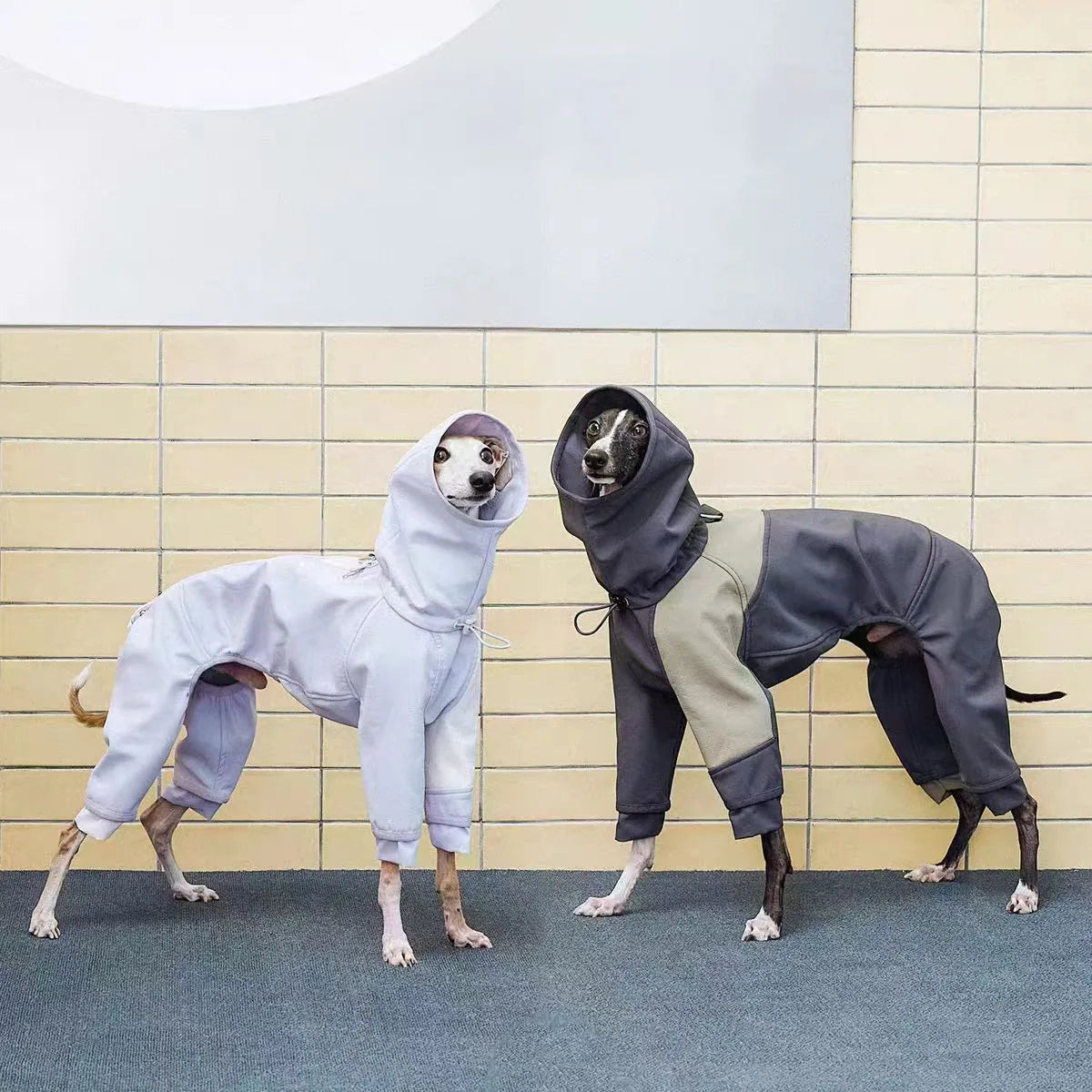Turtle Neck Warm Dog Jacket,greyhound