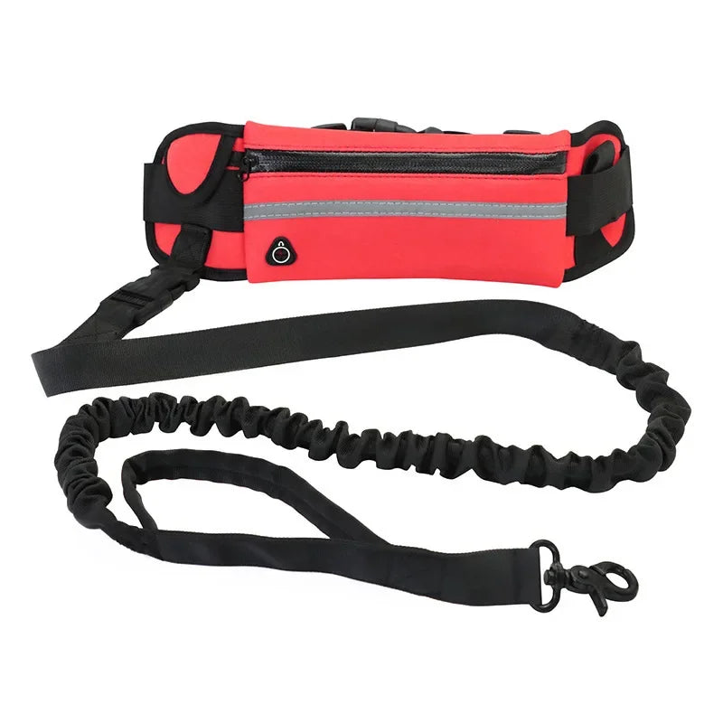 Personalized Dog Walking Collar Free Hands Leather Reflective, Adjustable