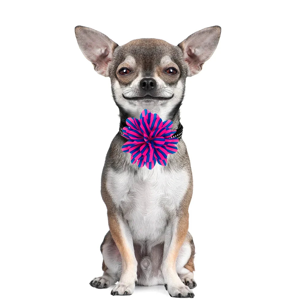 50/100pcs Flower-Collar Spring Dog Supplies - ProPawPet.com