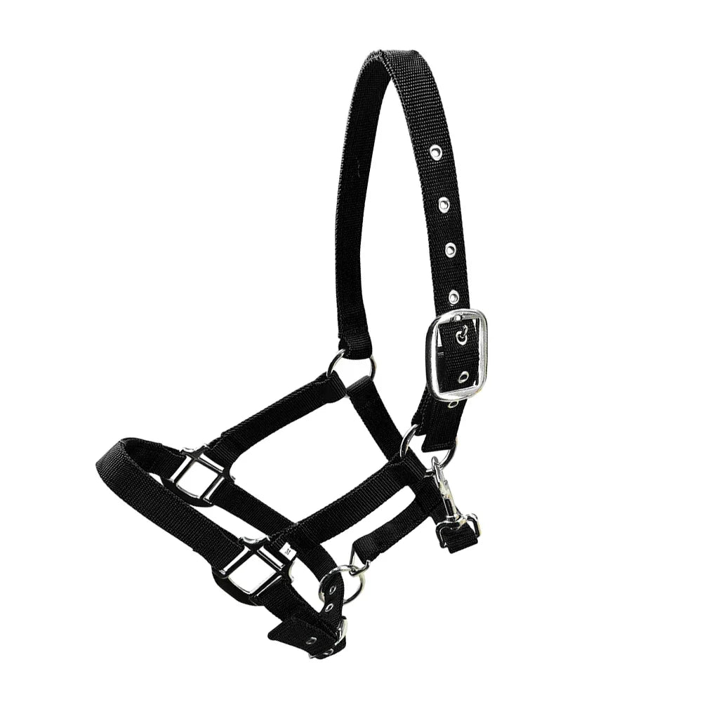Padded Halter Pony Bridle Head Collar - ProPawPet.com