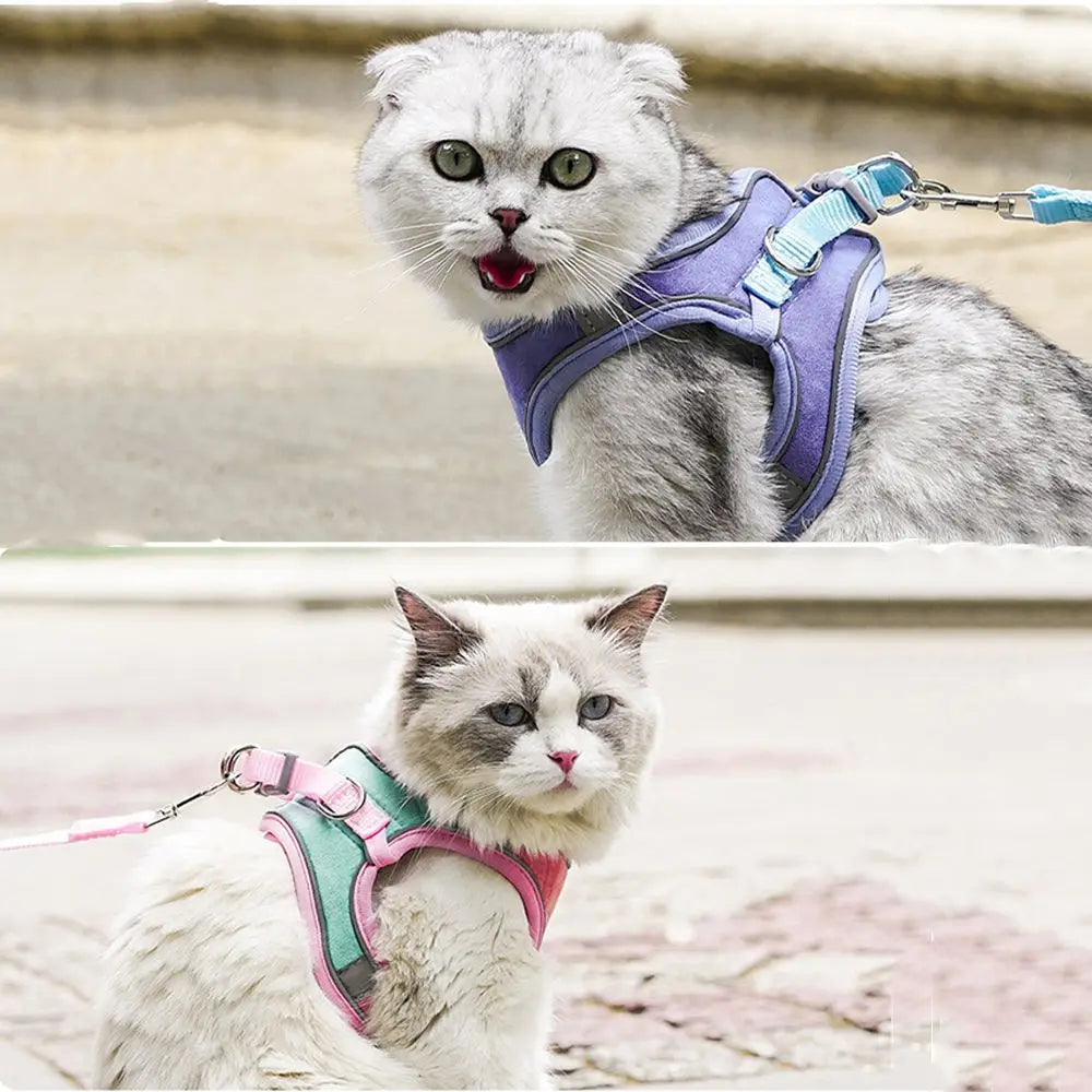 Anti-leak For Cat Puppy,Rabbit Soft Vest - ProPawPet.com
