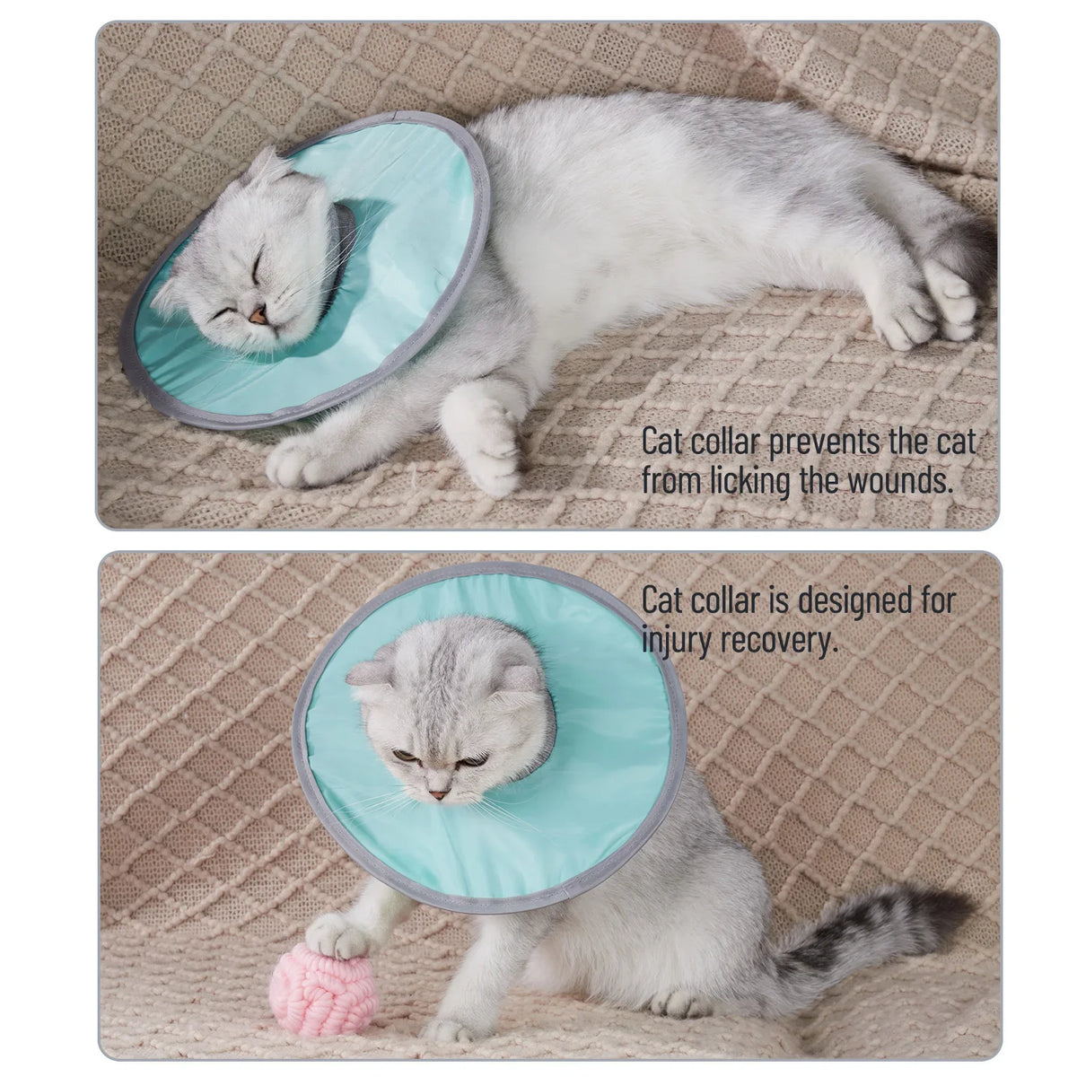 Pet Cat Protective Collar Neck Recovery Cone - ProPawPet.com