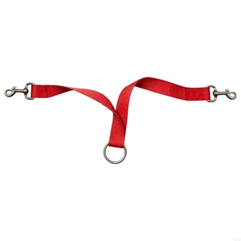 Horse Training Strap for Barn Handling Use, - ProPawPet.com