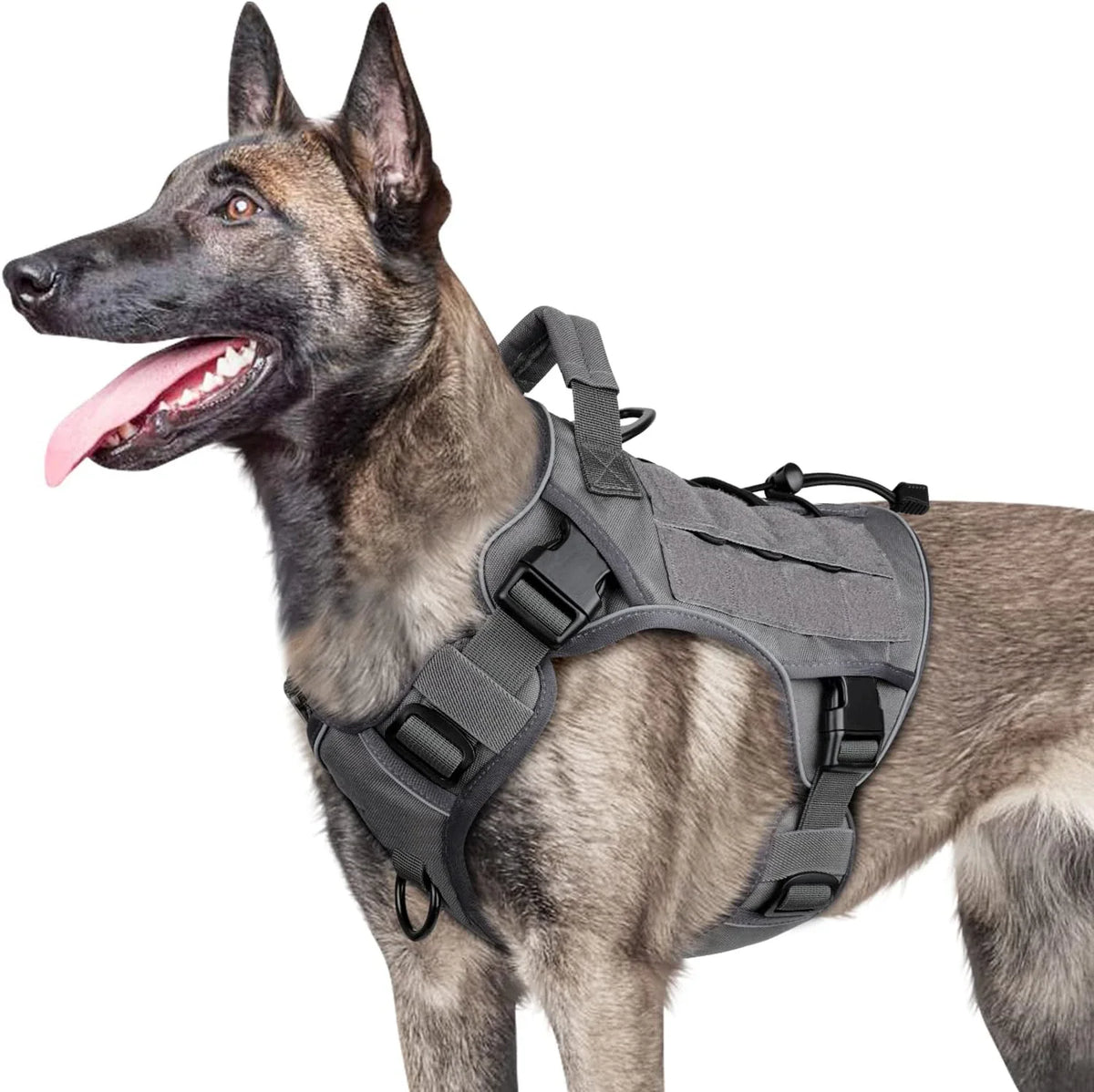 Adjustable No Pull Tactical Dog Harness with - ProPawPet.com