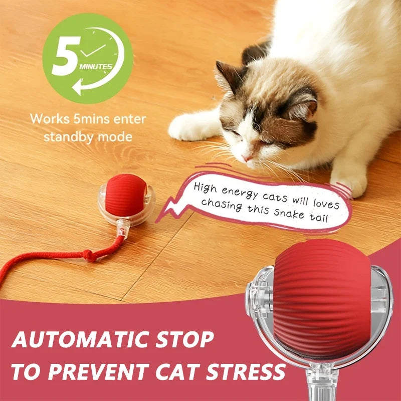 Rechargeable Auto Interactive Cat Ball with - ProPawPet.com
