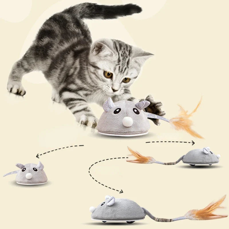 Rechargeable Smart Mouse Toy for Cats Moving - ProPawPet.com