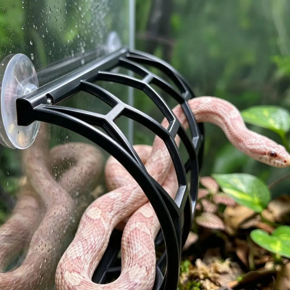 Reptile Honeycomb Climbing Shelf Suction Cup - ProPawPet.com