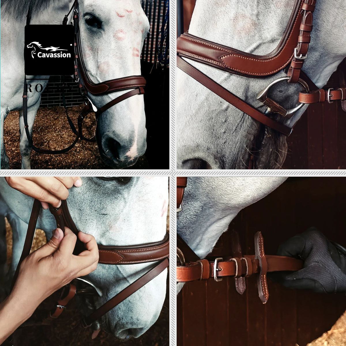 Cavassion equestrian non-slip bridle light - ProPawPet.com
