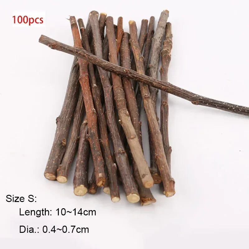 Chew Stick Apple Tree – Bird Supplies