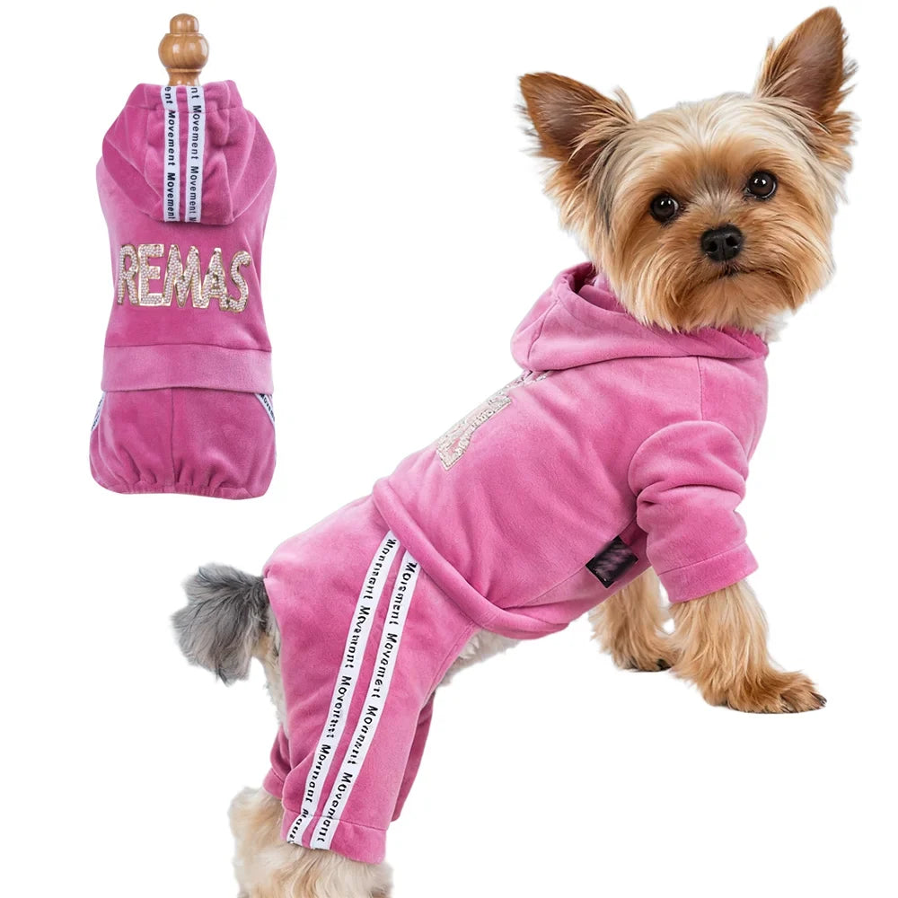 Girl Dog Clothes for Small Dogs Cute Outfits - ProPawPet.com