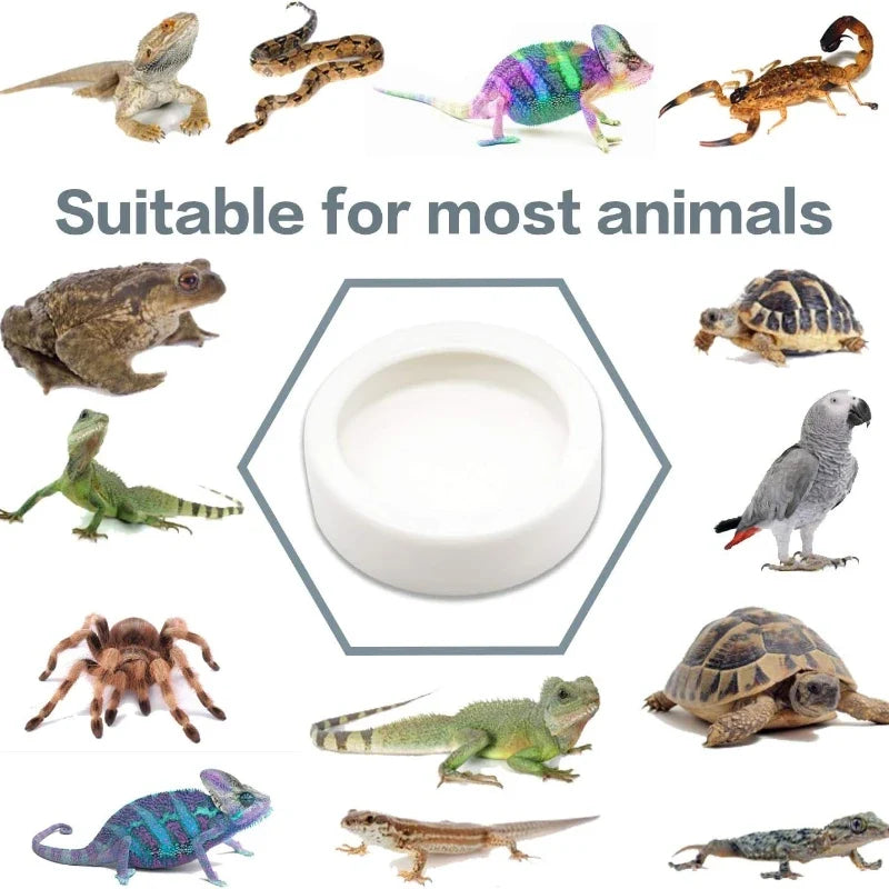 Reptile Water Food Bowl Anti-Escape Ceramic - ProPawPet.com