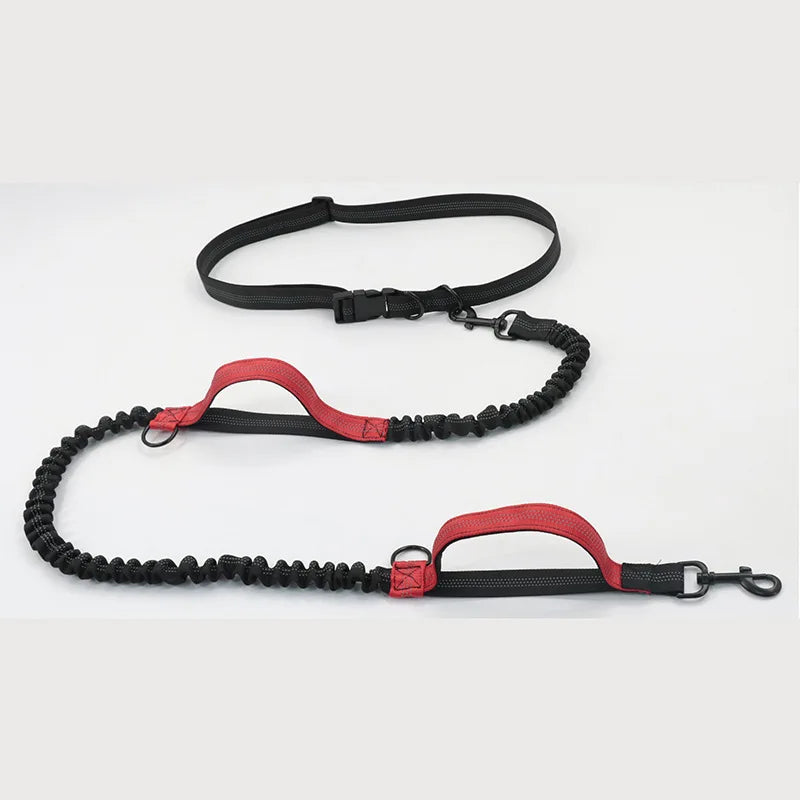 Double Elastic Reflective Running Lead – 5 Colors