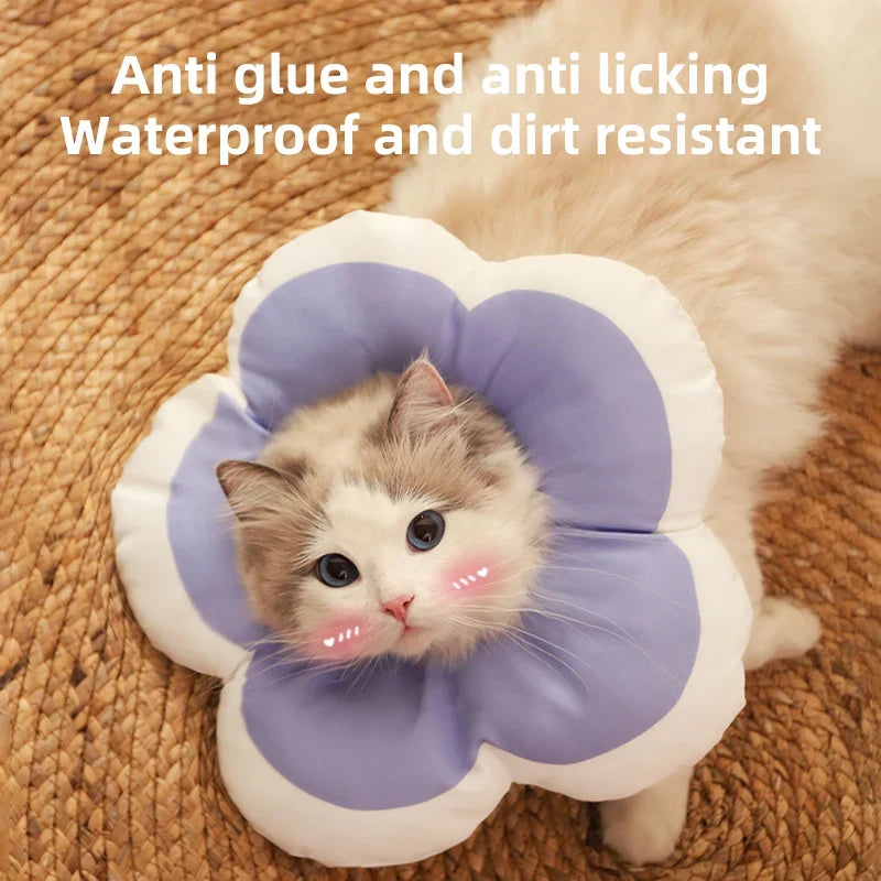 HOOPRT Cat Flower Elizabeth Cotton Neck Pet - ProPawPet.com